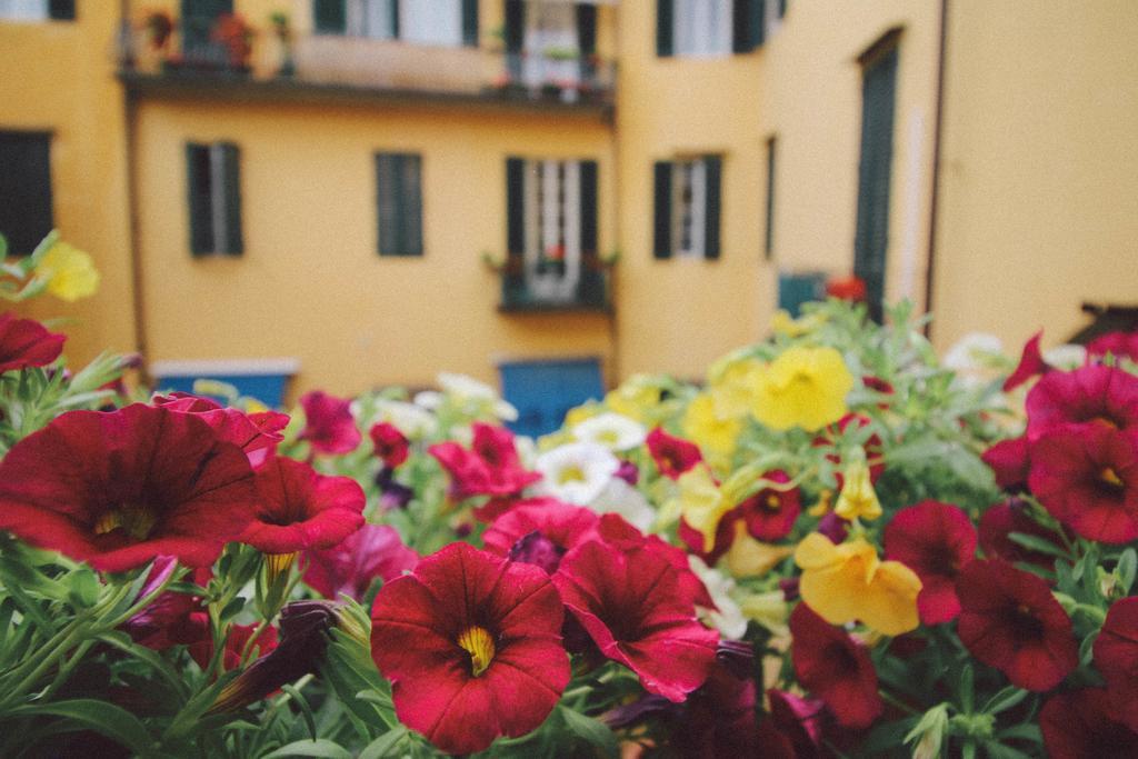 Martindago Bed & Breakfast Floransa Dış mekan fotoğraf